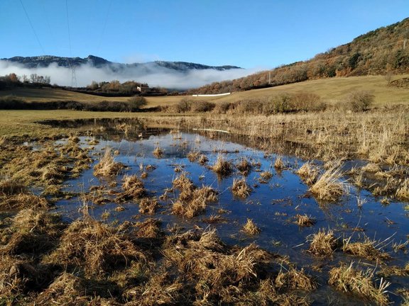 Pla general dels aiguamolls de Peramea, a Baix Pallars. (Horitzontal)