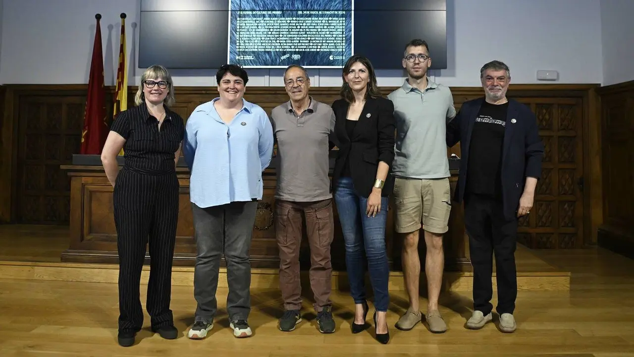 35a edici&oacute; Dansaneu 4