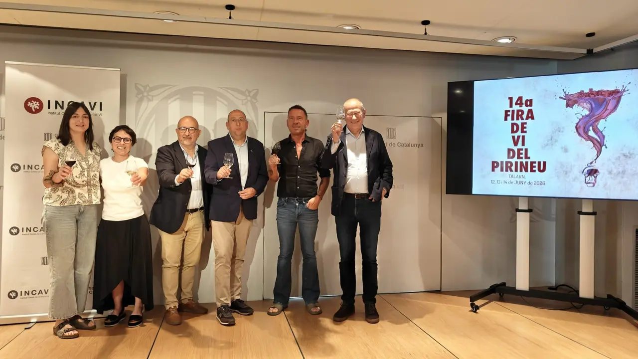Brisdis_Presentaci&oacute;