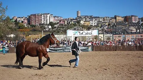 Fira de Puigcerd&agrave;