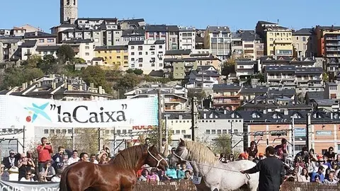 Fira de Puigcerd&agrave;