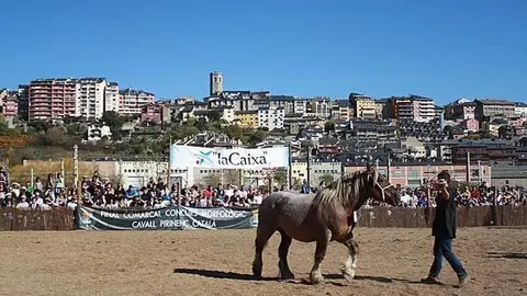 Fira de Puigcerd&agrave;