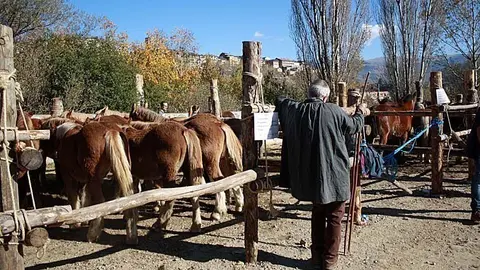 Fira de Puigcerd&agrave;