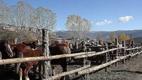 Fira de Puigcerd&agrave;