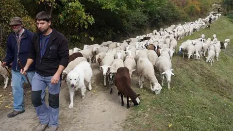 Un dels pastors pagats pel Departament amb un propietari de ramats vigilats 