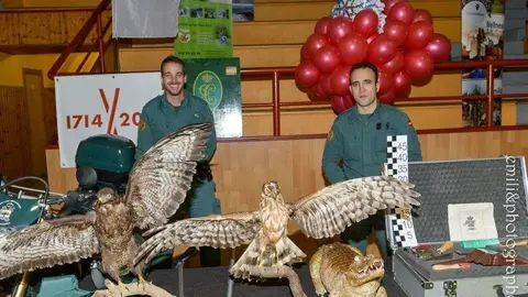 Parc de Nadal Puigcerd&agrave;