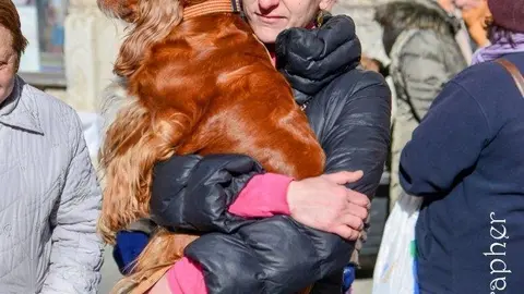 Missa i benedicci&oacute; d'animals Sant Antoni.