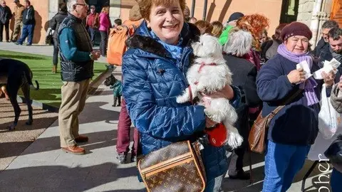 Missa i benedicci&oacute; d'animals Sant Antoni.