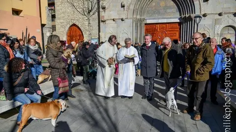 Missa i benedicci&oacute; d'animals Sant Antoni.