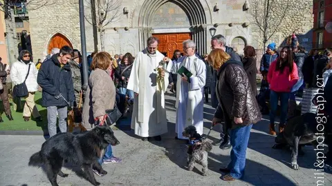Missa i benedicci&oacute; d'animals Sant Antoni.