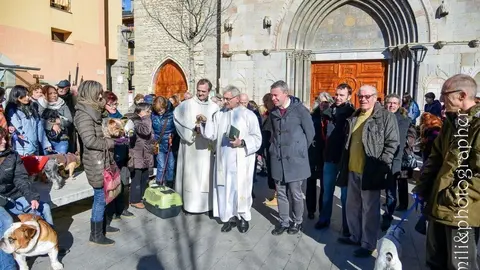 Missa i benedicci&oacute; d'animals Sant Antoni.