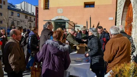Missa i benedicci&oacute; d'animals Sant Antoni.