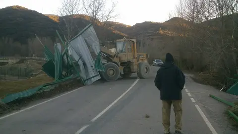 Afectaci&oacute; del vent - Foto: Xavier Gra&ntilde;&eacute; Porta 