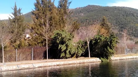 Afectacions del vent 