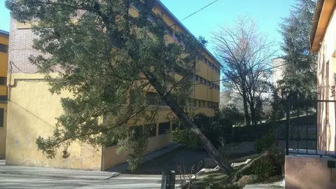 Afectacions del vent 