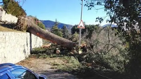 Aferctacions del vent 