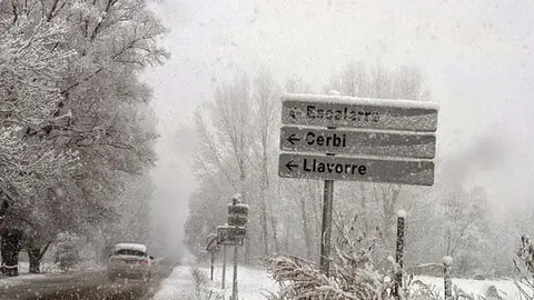 neu