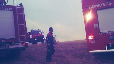 foc