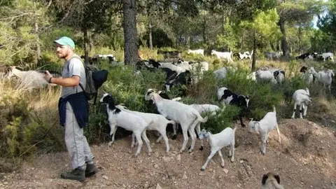 querol-premi