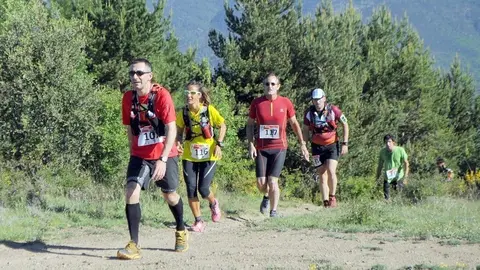 Escanyabocs 2014