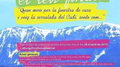 Escriu el teu final 2015 - Cartell