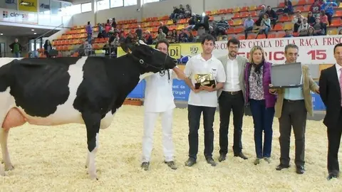 concurs frisona 047