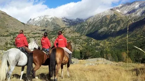 Cavall natura pirineu
