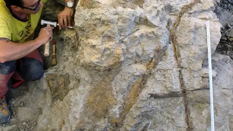 Coll_vertebres_sauropode_Orcau
