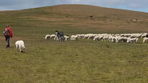507fdf8b-ca0c-4473-8a64-bc9bdc990674