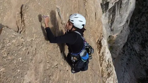 78 (1)