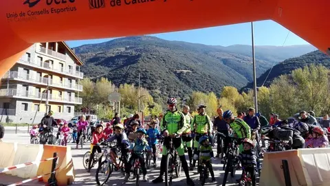 cursa poli 421