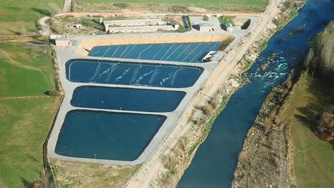 vista general EDAR MONTFERRER
