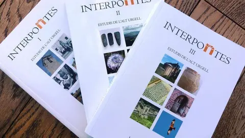 interpontes-web
