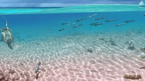 Paleoambient_Oden
