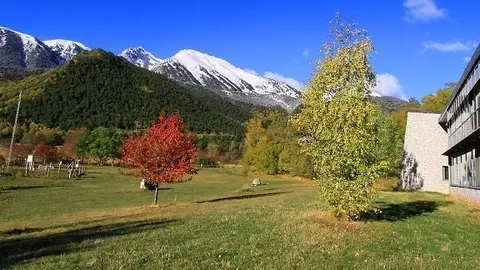 MNP tardor