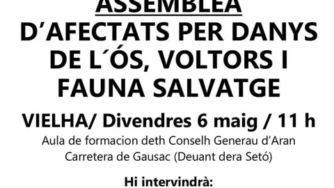 Assemblea_Os_Vielha