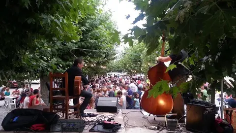 assistents al JazziVi 2015