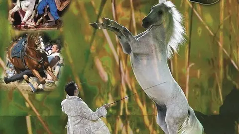EQUESTANY_Cartel_peq