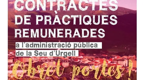 pr&agrave;ctiques remunerades.2