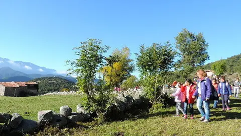 DSCN9854