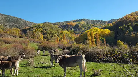 20161101_113830