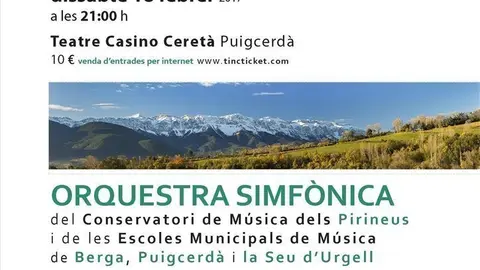 ProjecteSimf&ograve;nic2017-concert_cartell