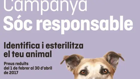 FAADA-SR2017-cartel-A3-ca