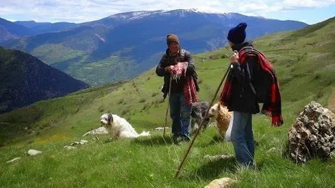 foto_953197O