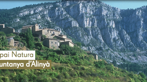 alinyà