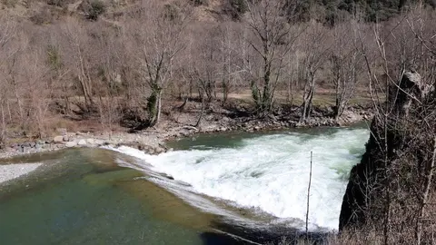 pallars