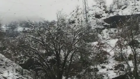 25.03.2017torre caiguda pel  temporal