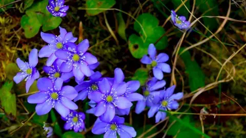 dsc_2268-1024x682