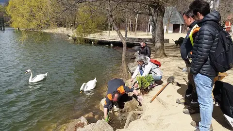 20170322_120321