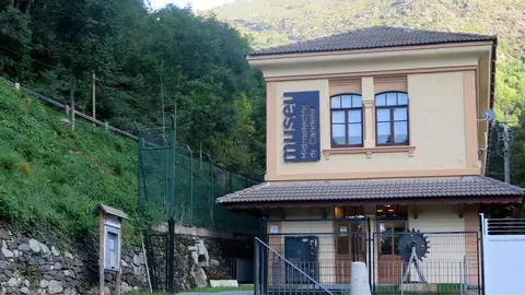 capdella